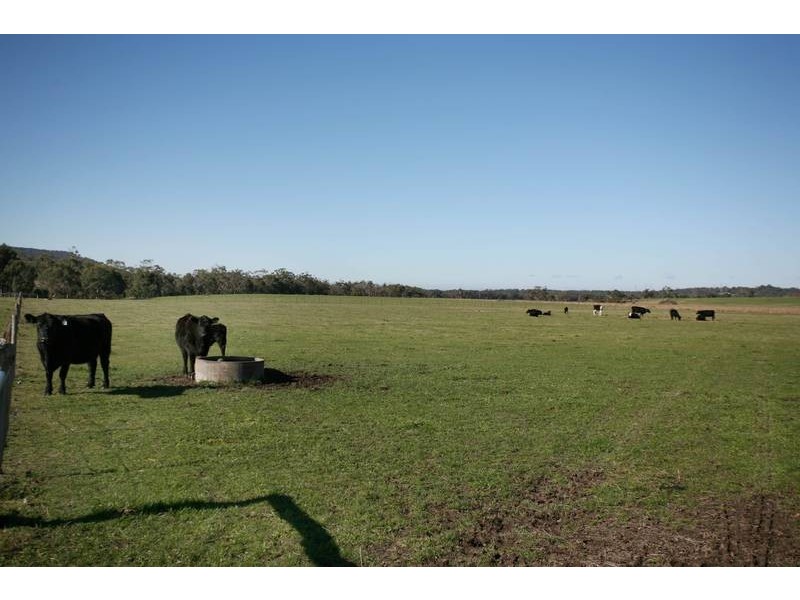 260 Tynong Nth Road, Tynong North VIC 3813