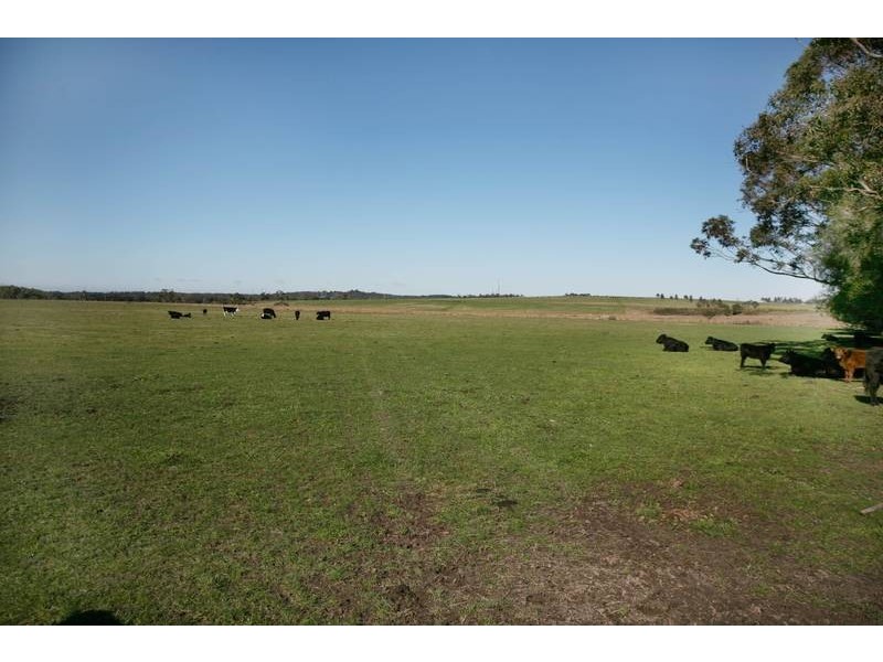 260 Tynong North Road, Tynong North VIC 3813