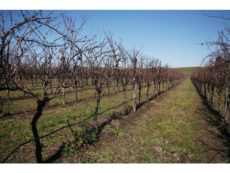 260 Tynong North Road, Tynong North VIC 3813