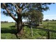 740 Main Drain Road North, Koo Wee Rup North VIC 3981