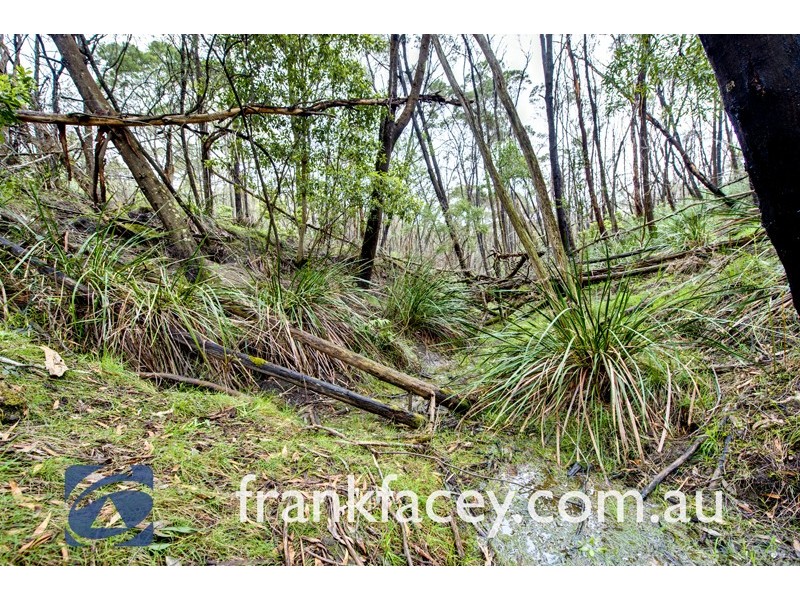 255 Leppitt Road, Beaconsfield Upper VIC 3808