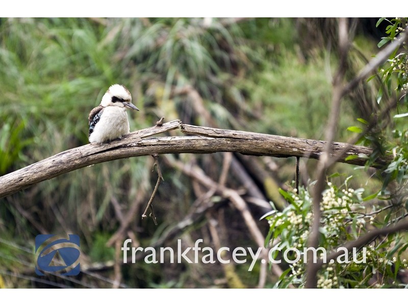 255 Leppitt Road, Beaconsfield Upper VIC 3808