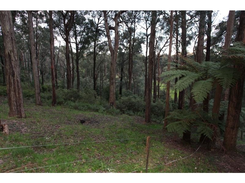 245 Gembrook Road, Gembrook VIC 3783