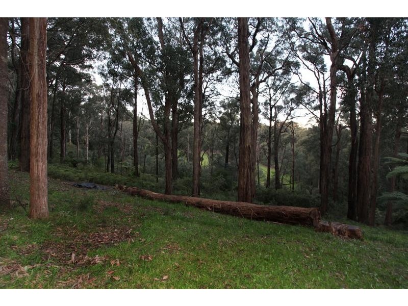 245 Gembrook Road., Gembrook VIC 3783