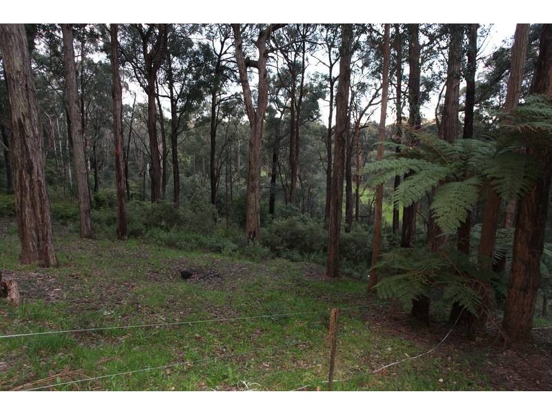 245 Gembrook Road., Gembrook VIC 3783
