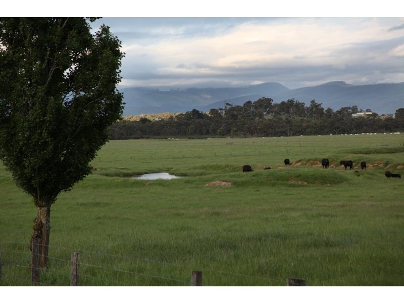 40 Tonimbuk Road., Bunyip North VIC 3815