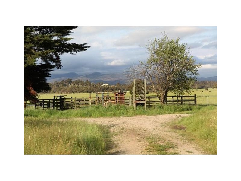 40 Tonimbuk Road., Tonimbuk VIC 3815