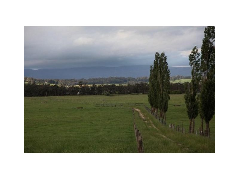 40 Tonimbuk Road., Tonimbuk VIC 3815