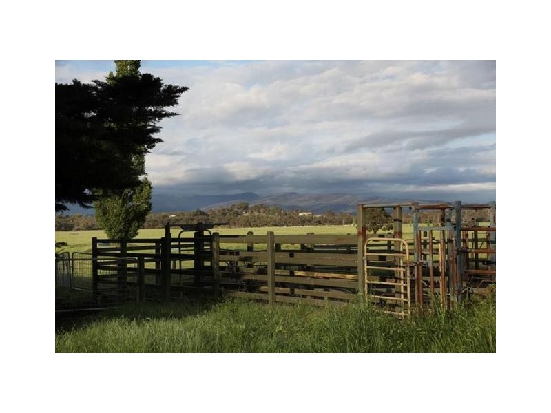 40 Tonimbuk Road., Tonimbuk VIC 3815