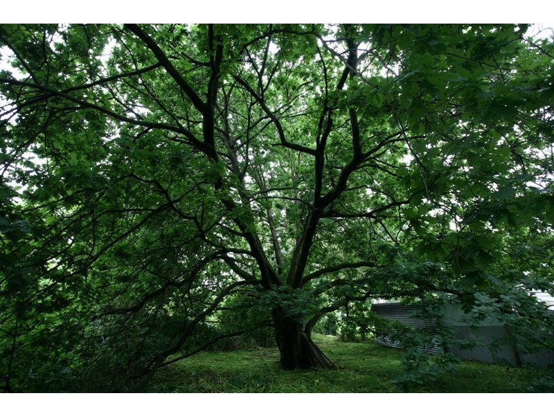 12 Howitt Street, Tynong VIC 3813