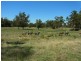 240 Ellis Road, Tonimbuk VIC 3815