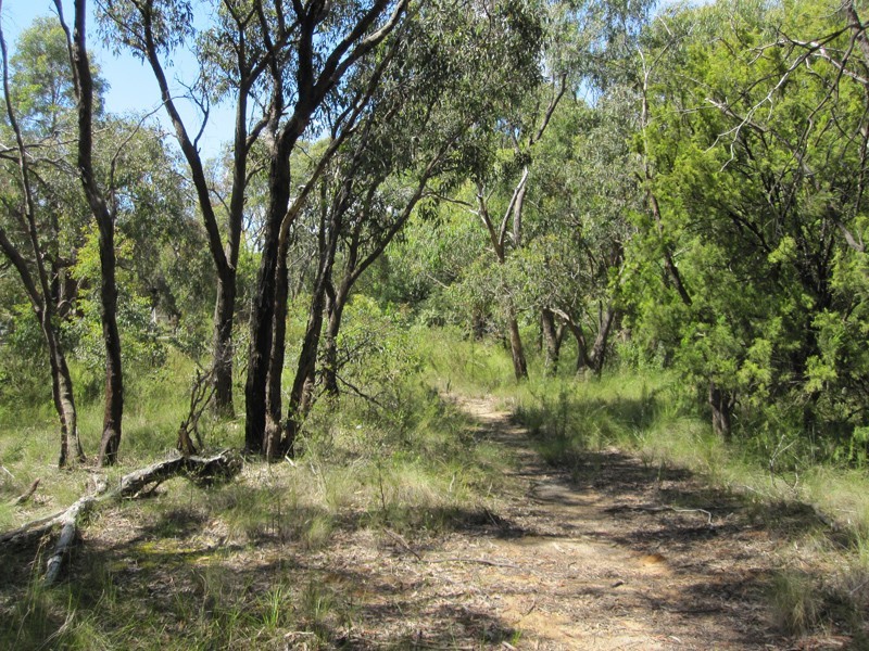 Lot 1,  Koolbirra Road, Maryknoll VIC 3812