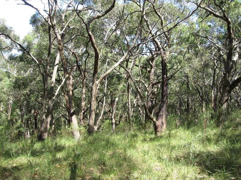 Lot 1,  Koolbirra Road, Maryknoll VIC 3812