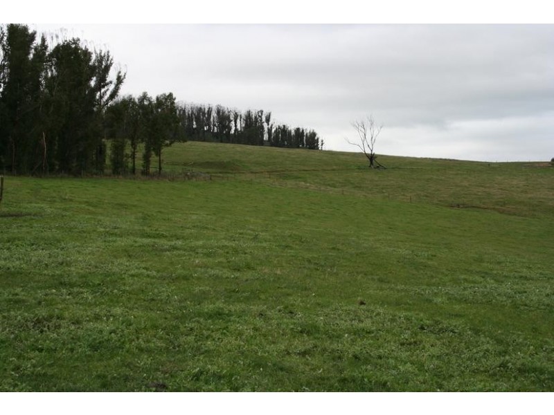 350 Forest Road, Labertouche VIC 3816