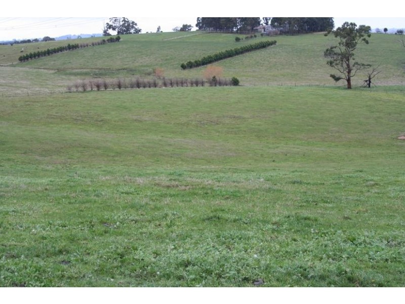 350 Forest Road, Labertouche VIC 3816