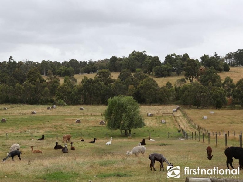 145 McInnes Road, Tynong North VIC 3813