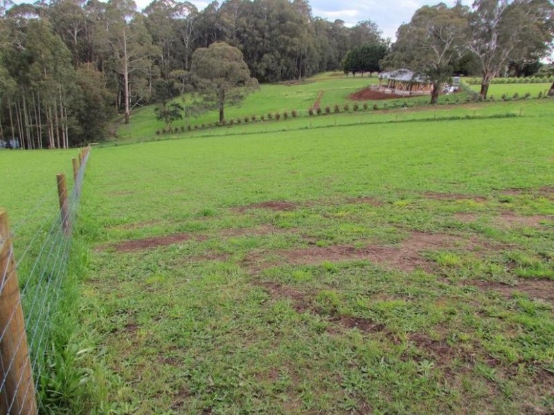 Lot 3, 159 Red Road, Gembrook VIC 3783