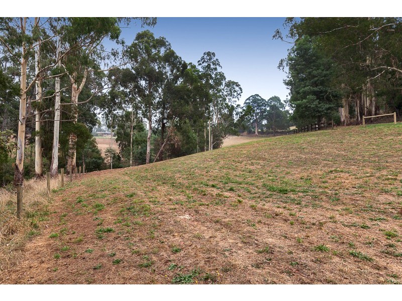 Lot 3, 159 Red Road, Gembrook VIC 3783