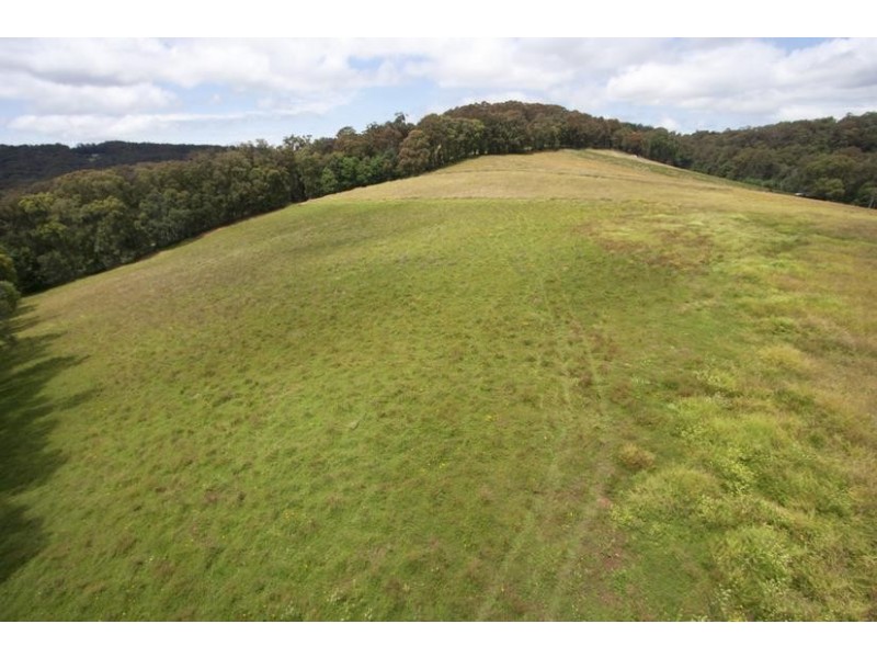 Lot 2 Morbey Road, Gembrook VIC 3783