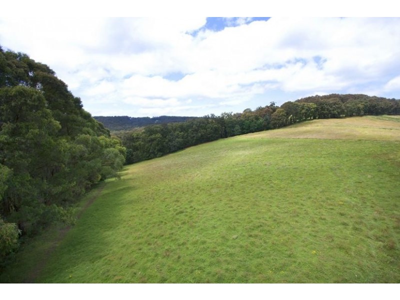 Lot 2 Morbey Road, Gembrook VIC 3783