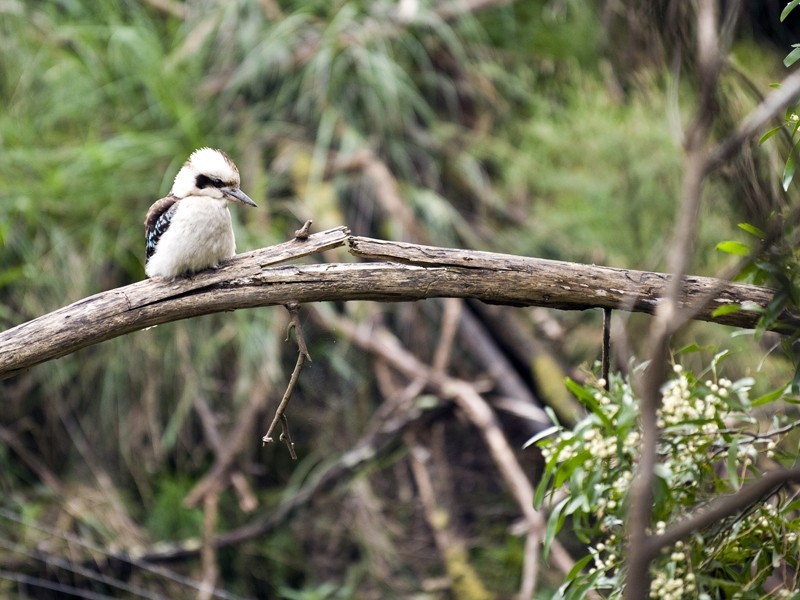 1-4 Bathe Road, Pakenham VIC 3810