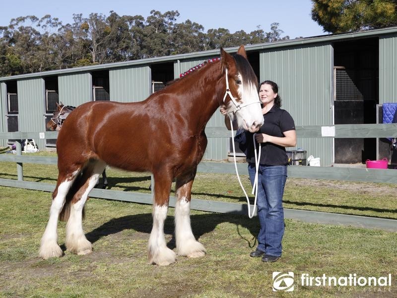 195 Tonimbuk Road, Bunyip North VIC 3815