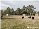 170 Fogarty Rd, Tynong North VIC 3813