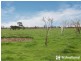 85 Daly Road, Nar Nar Goon VIC 3812