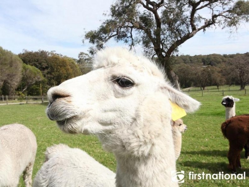 442 Fogarty Road, Maryknoll VIC 3812