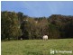 25 Morbey Road, Gembrook VIC 3783