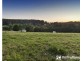 25 Morbey Road, Gembrook VIC 3783