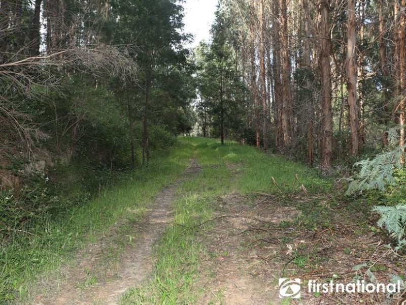 140 Pearce Road, Neerim North VIC 3821