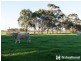 200 Koo Wee Rup Road, Koo Wee Rup VIC 3981