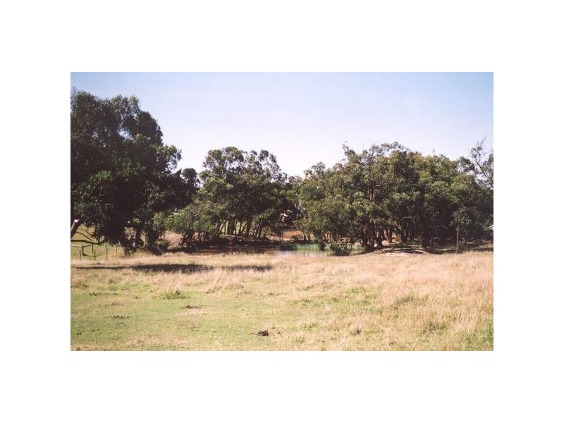 46 Peterson Road, Officer VIC 3809