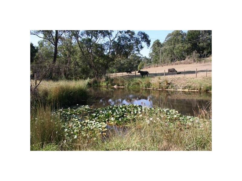 830 Gembrook Road, Pakenham Upper VIC 3810