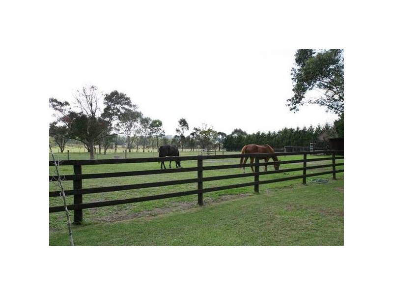 Ti Tree Road, Garfield VIC 3814