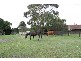 Ti Tree Road, Garfield VIC 3814