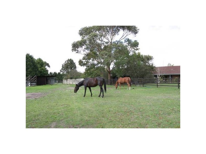 Ti Tree Road, Garfield VIC 3814