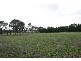 Ti Tree Road, Garfield VIC 3814