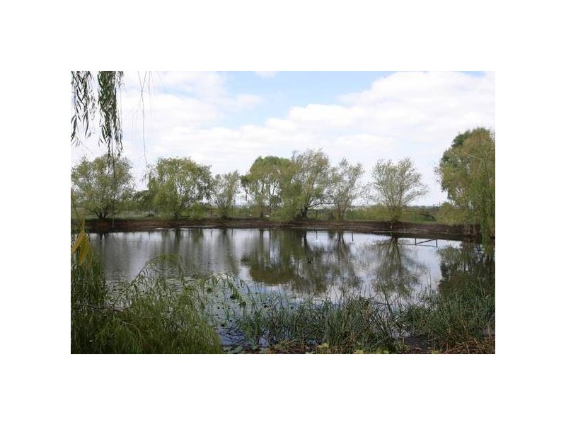 Ti Tree Road, Garfield VIC 3814