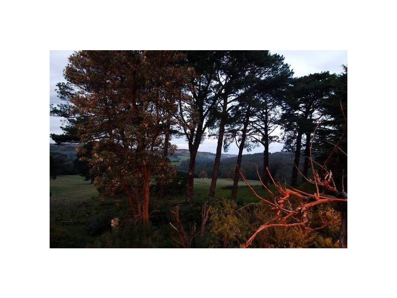 80 Bourkes Creek Road, Pakenham Upper VIC 3810