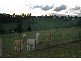 Fogarty Road, Maryknoll VIC 3812