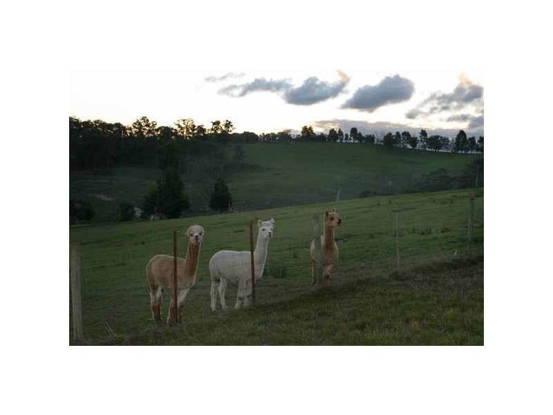 Fogarty Road, Maryknoll VIC 3812