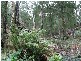 8 Downey Rd, Beaconsfield Upper VIC 3808