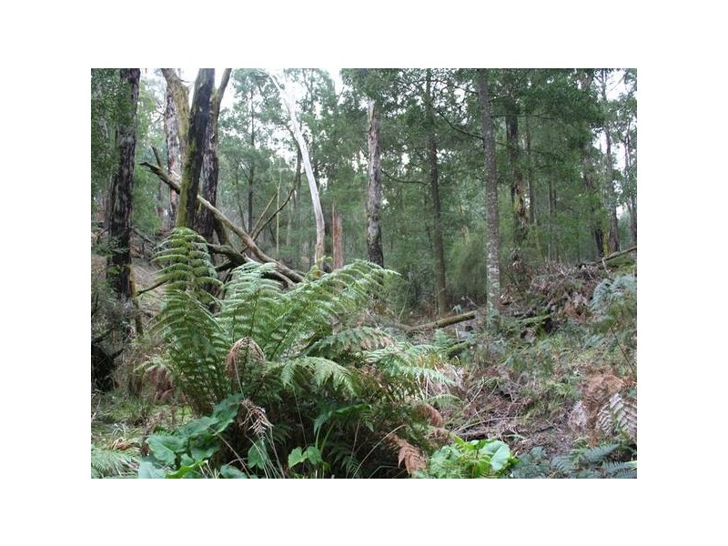 8 Downey Rd, Beaconsfield Upper VIC 3808