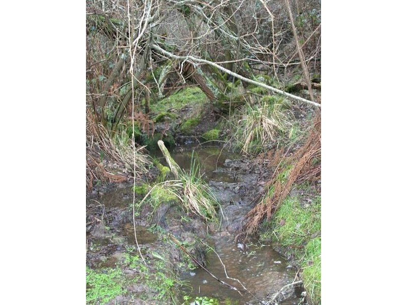 8 Downey Road, Beaconsfield Upper VIC 3808