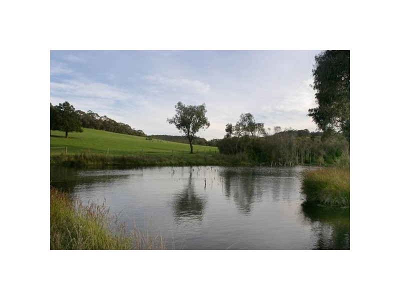 15 Crichton Road, Gembrook VIC 3783