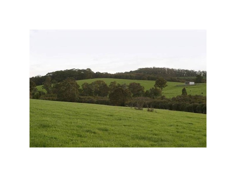 15 Crichton Road, Gembrook VIC 3783