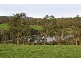 15 Crichton Road, Gembrook VIC 3783