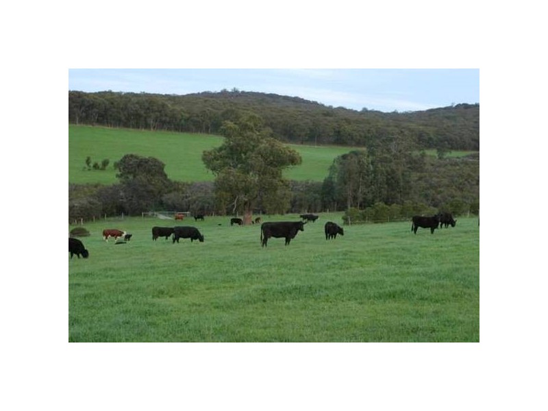 15 Crichton Road, Gembrook VIC 3783